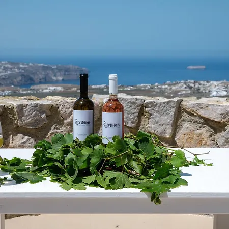 Zatrikion Santorini Villa